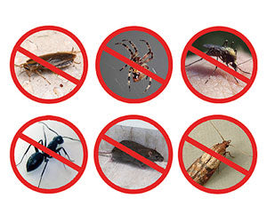 Pest Reject 3x2 a 69,99€