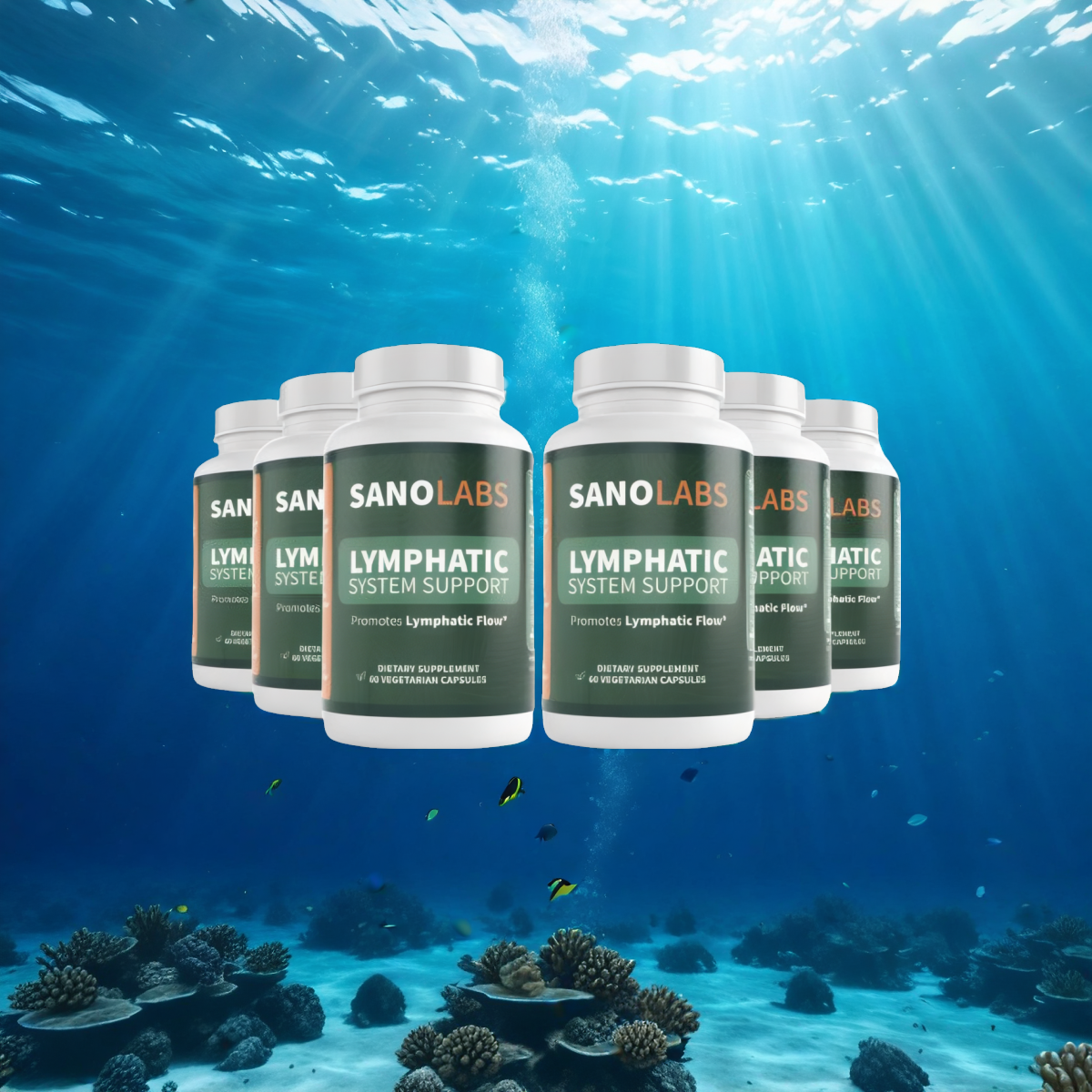 Lymphatic System Support 6 bottle subscription